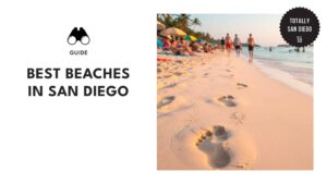 10 best beaches in San Diego to catch waves and views