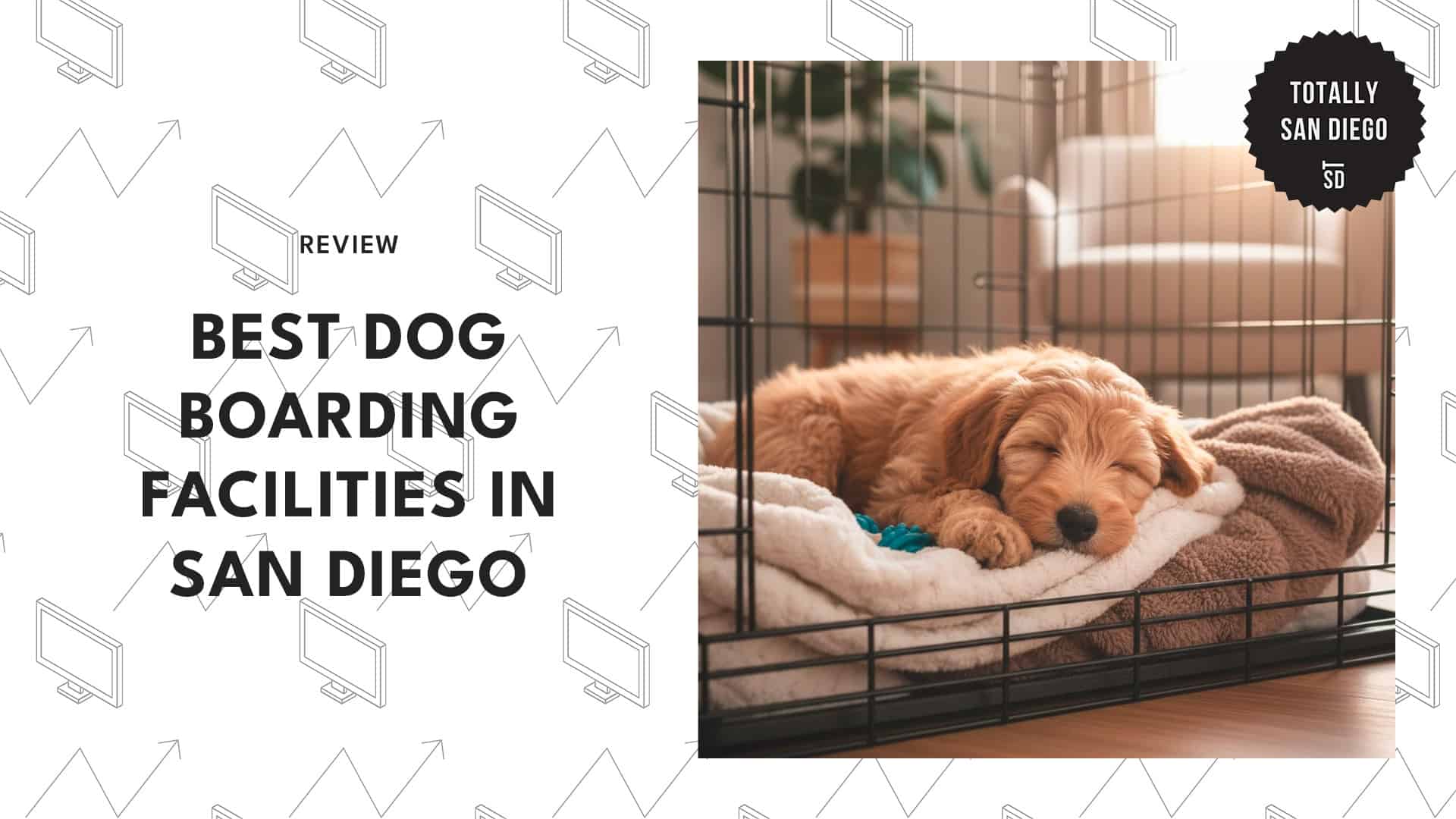 dog-boarding-facilities-in-san-diego