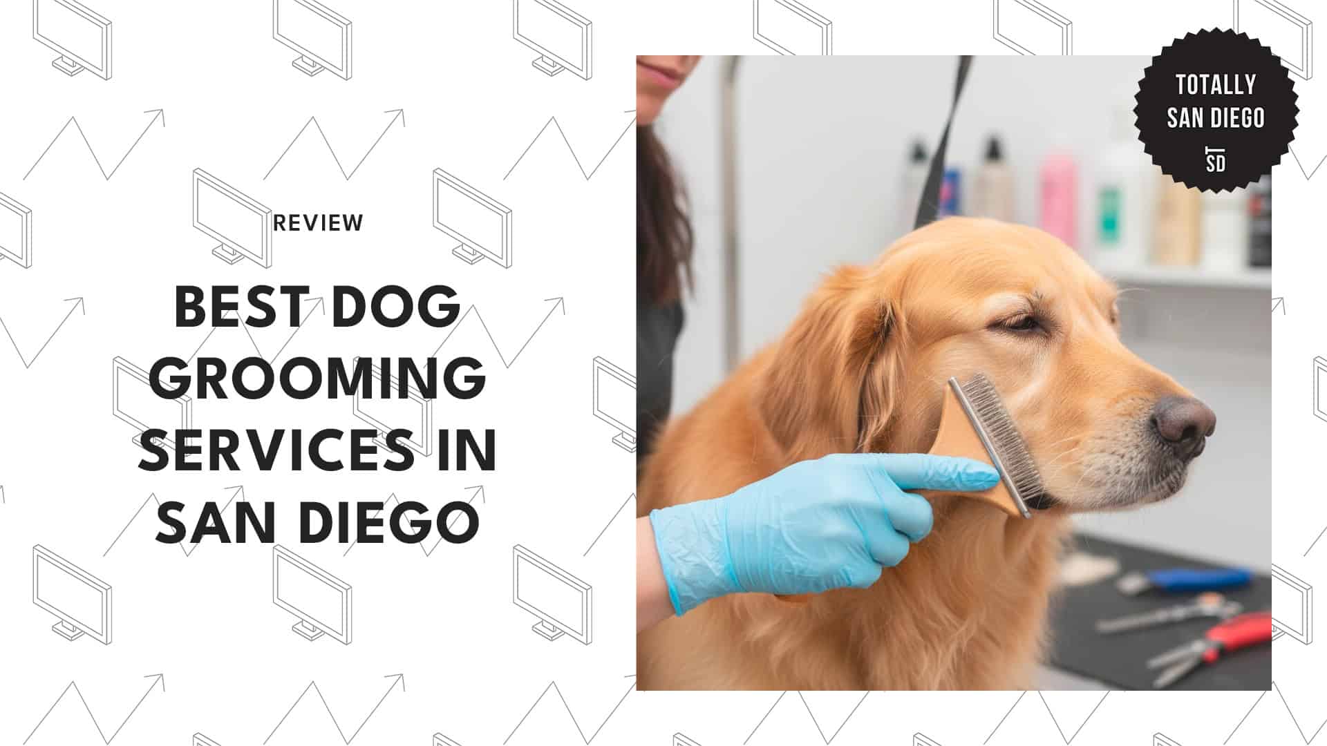 dog-grooming-san-diego