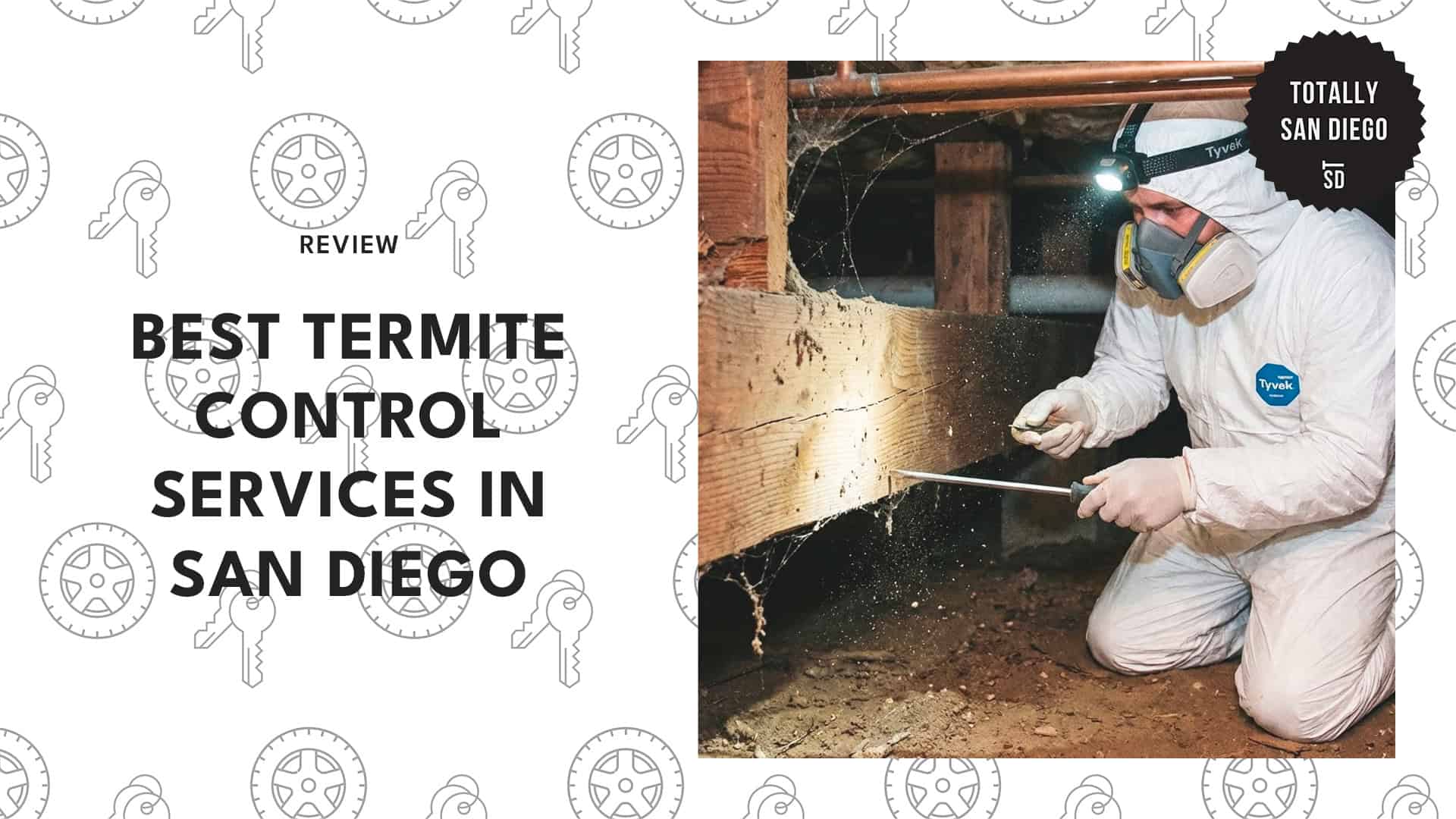 best-termite-control-san-diego-banner