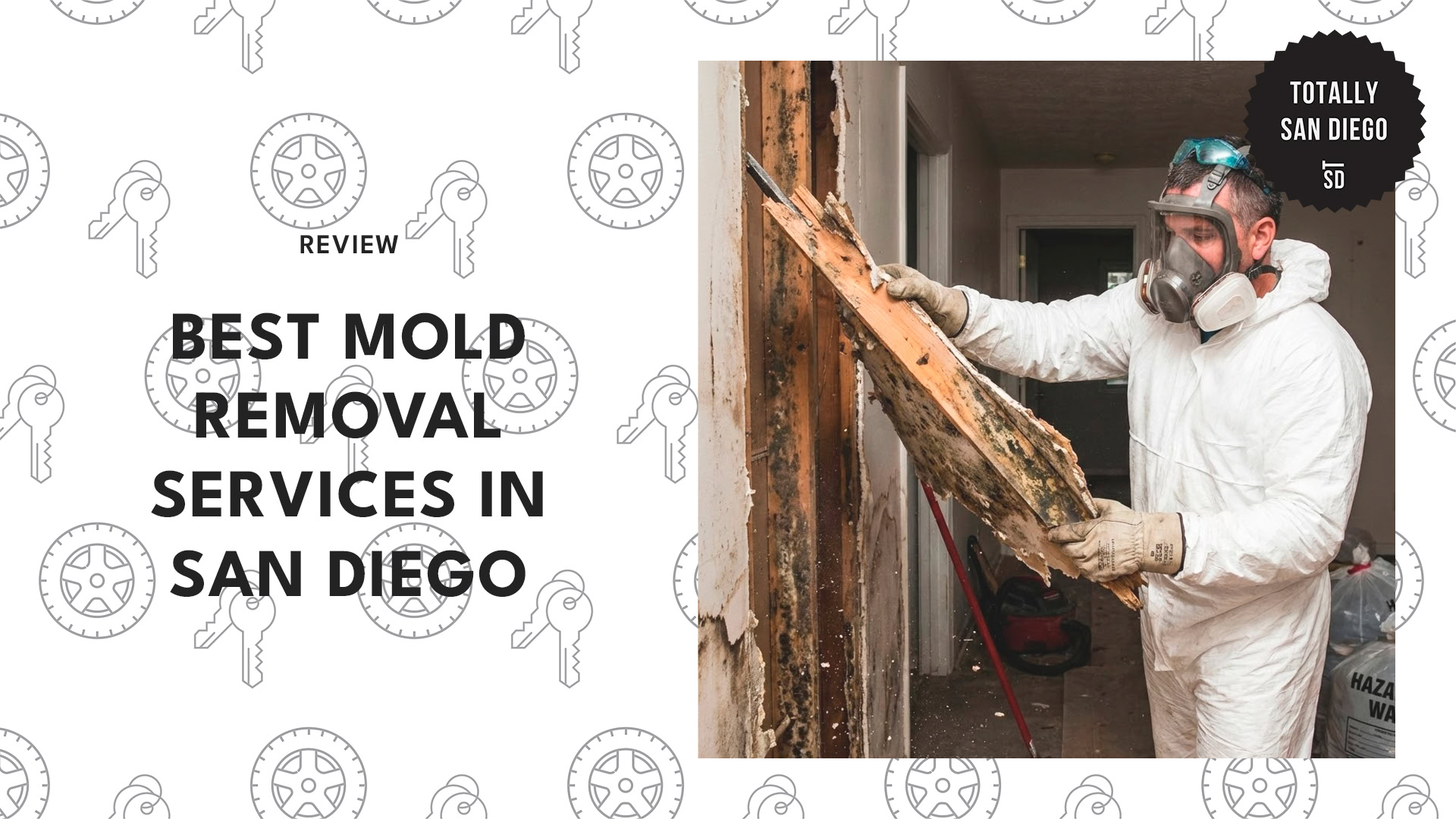 mold-removal-services-in-san-diego