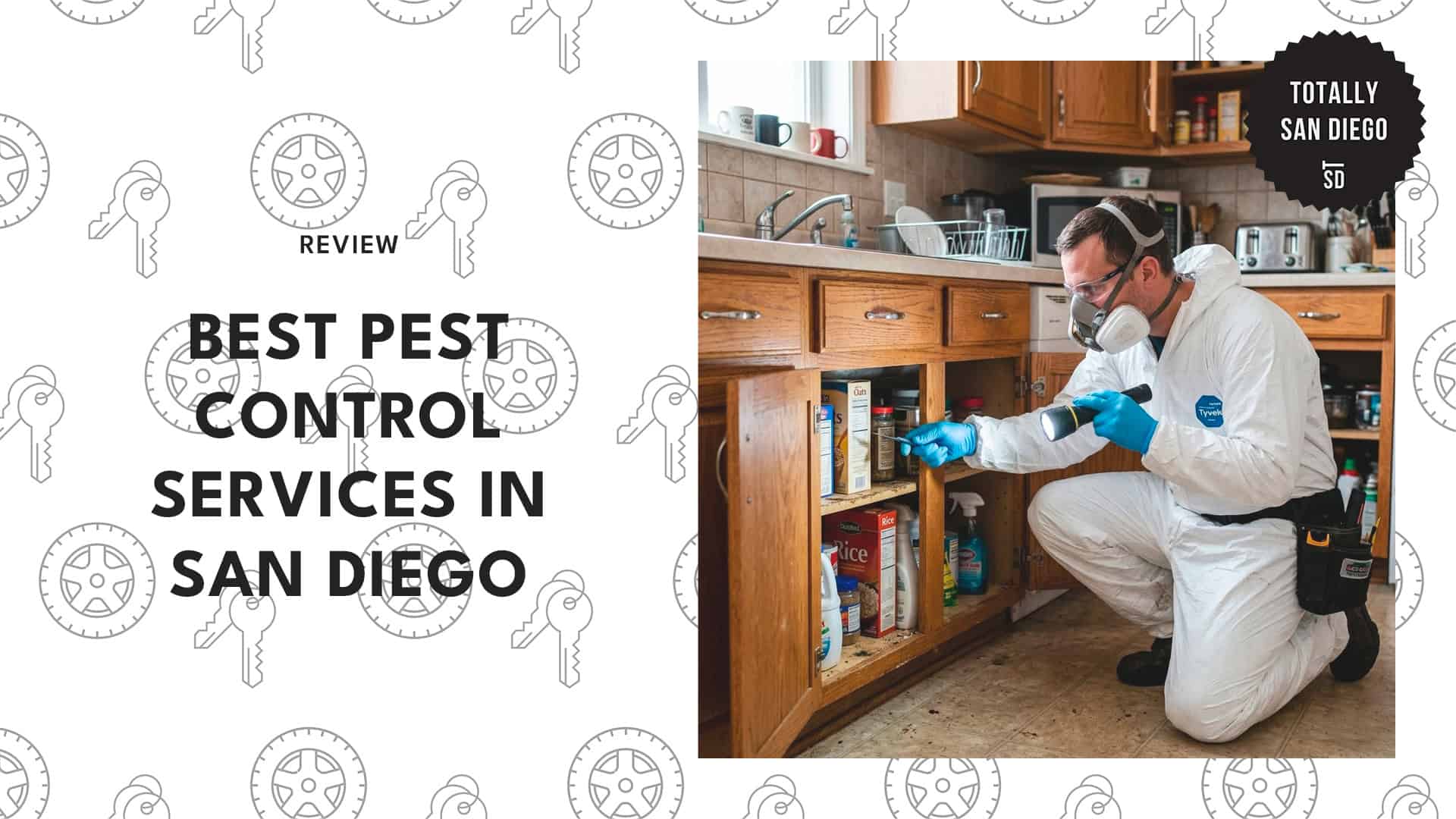 best-pest-control-san-diego