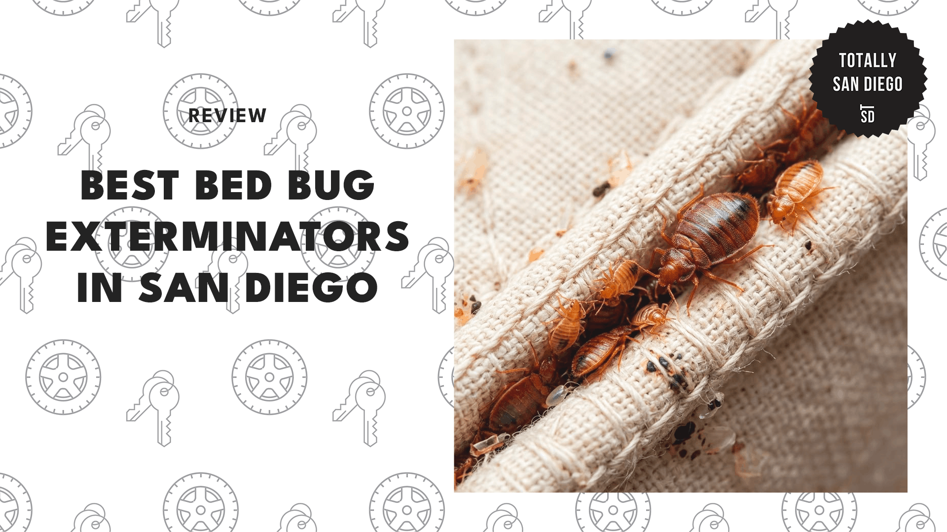 bed-bug-exterminators-san-diego-banner