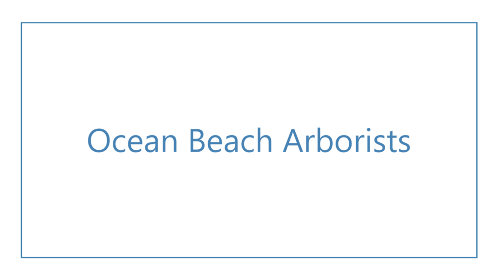 ocean-beach-arborists-logo