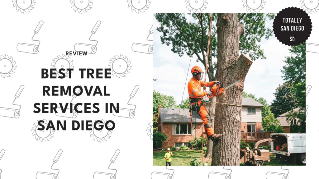 The 5 Best Tree Removal Services in San Diego That Will Rescue Your Backyard