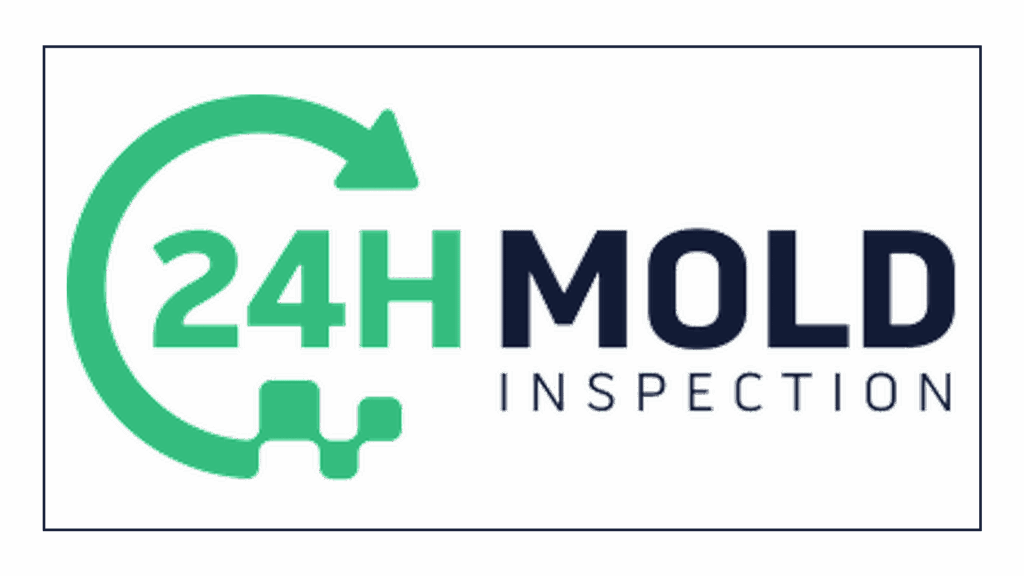 24h-mold-inspection-of-san-diego