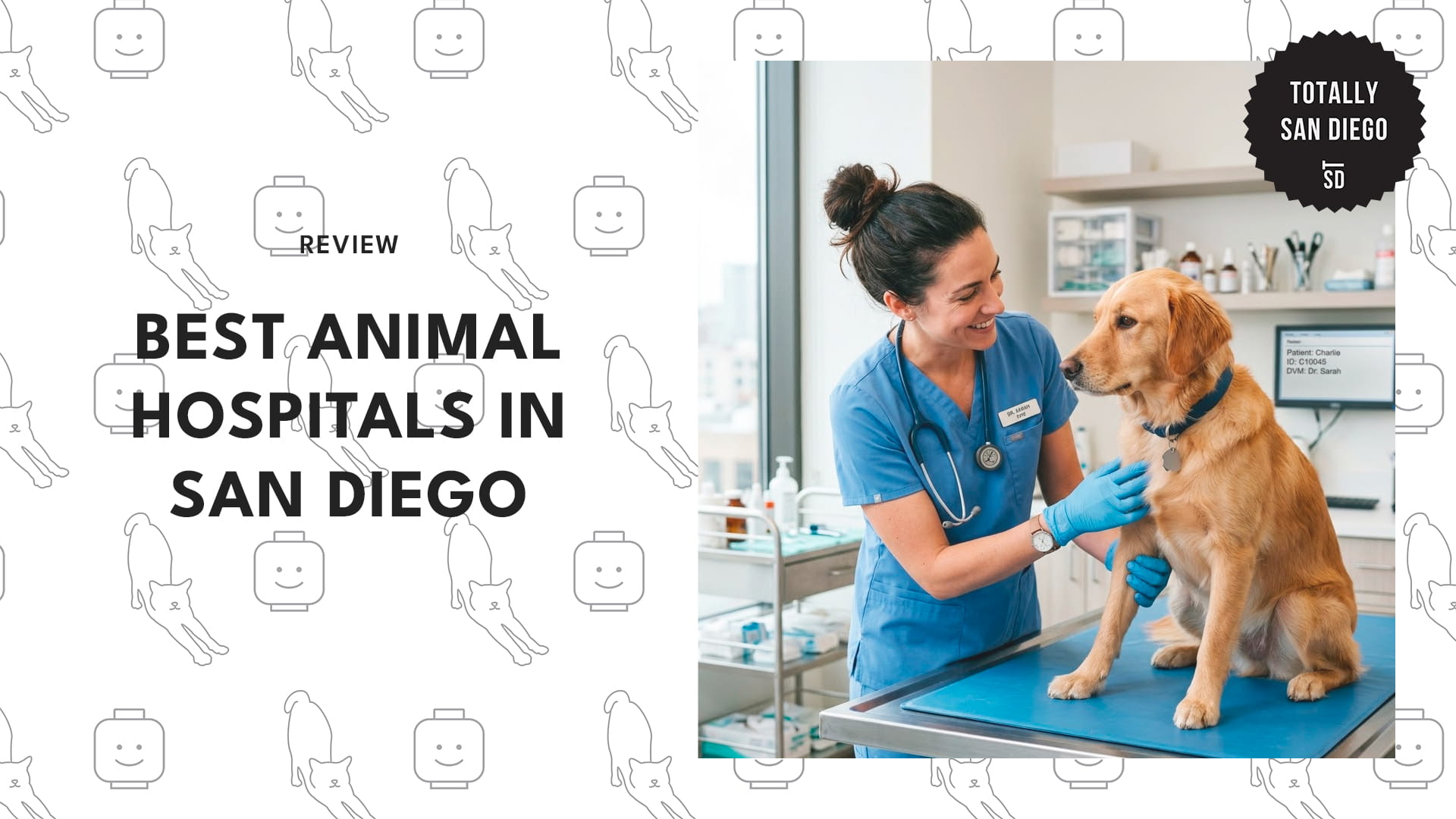 animal-hospitals-in-san-diego-banner