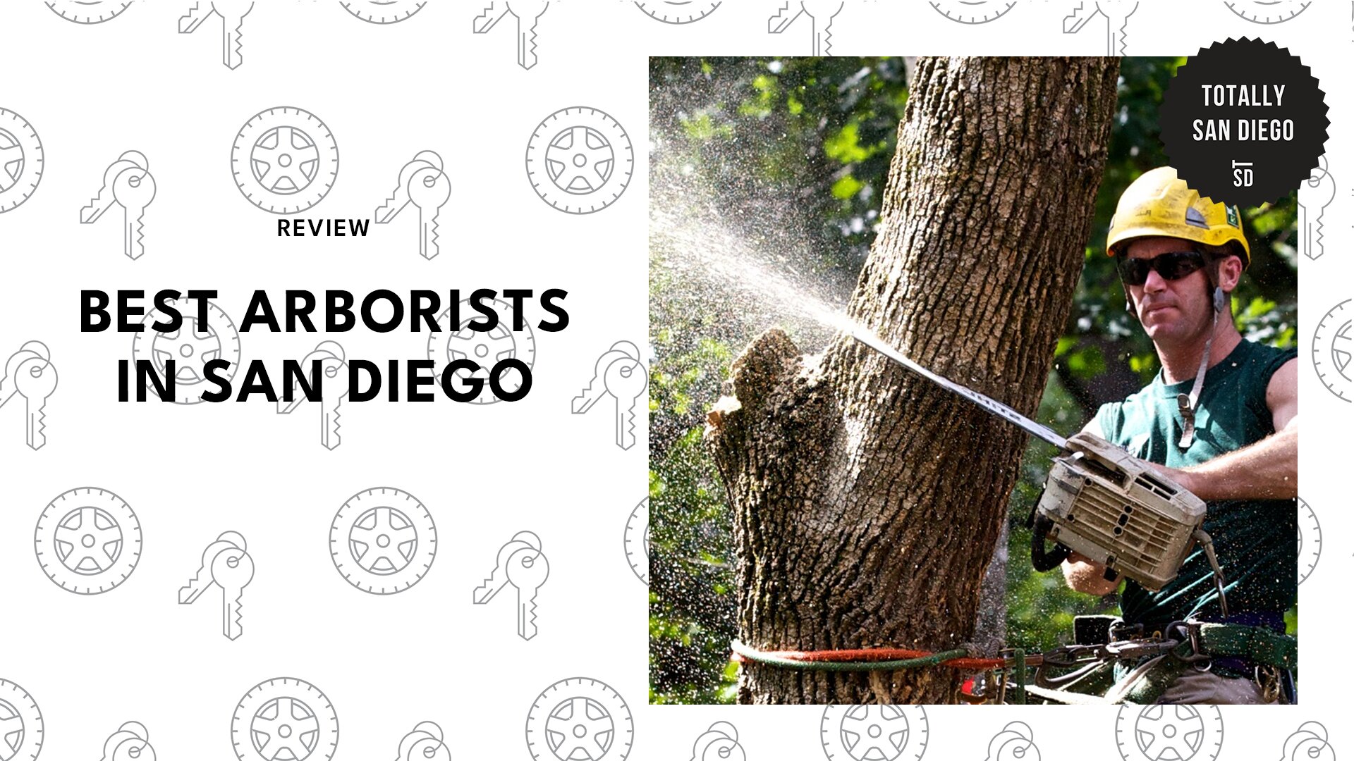 best-arborists-san-diego-banner