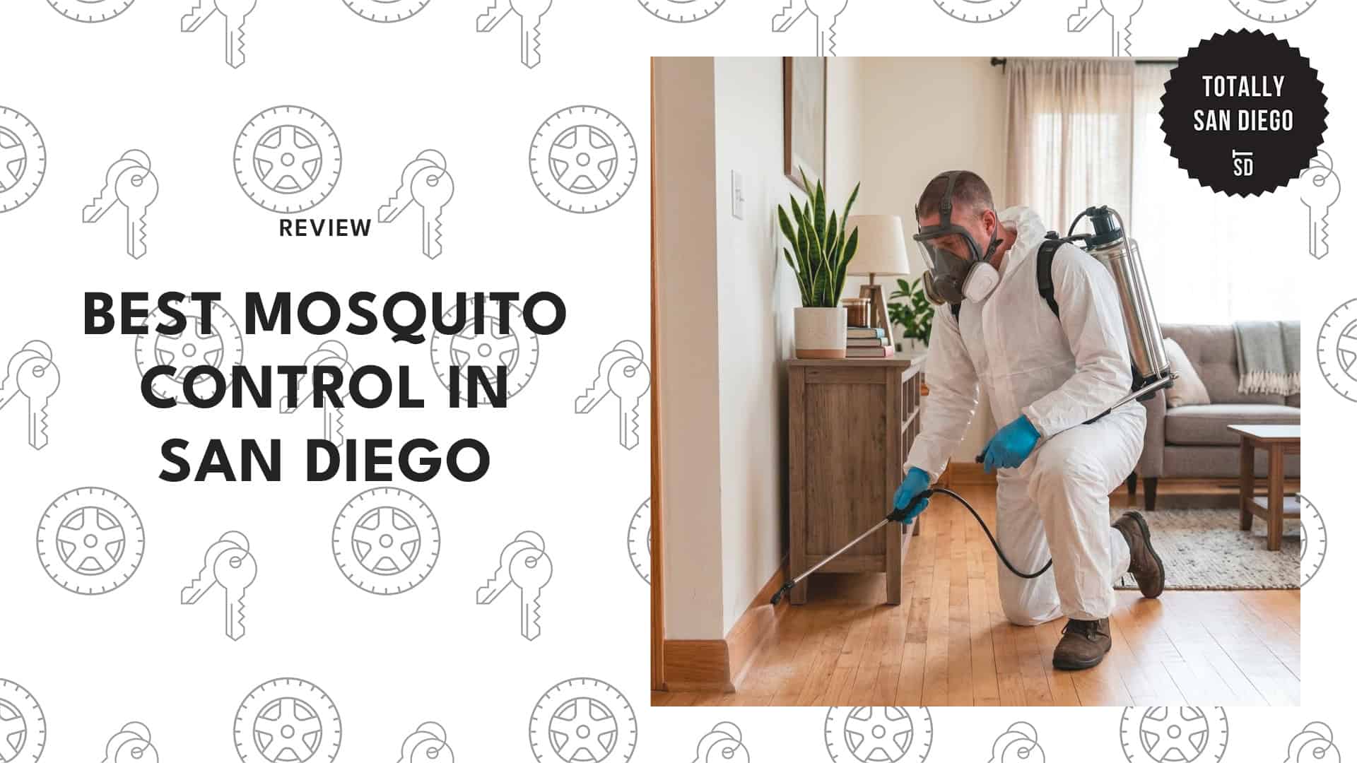 best-mosquito-control-san-diego