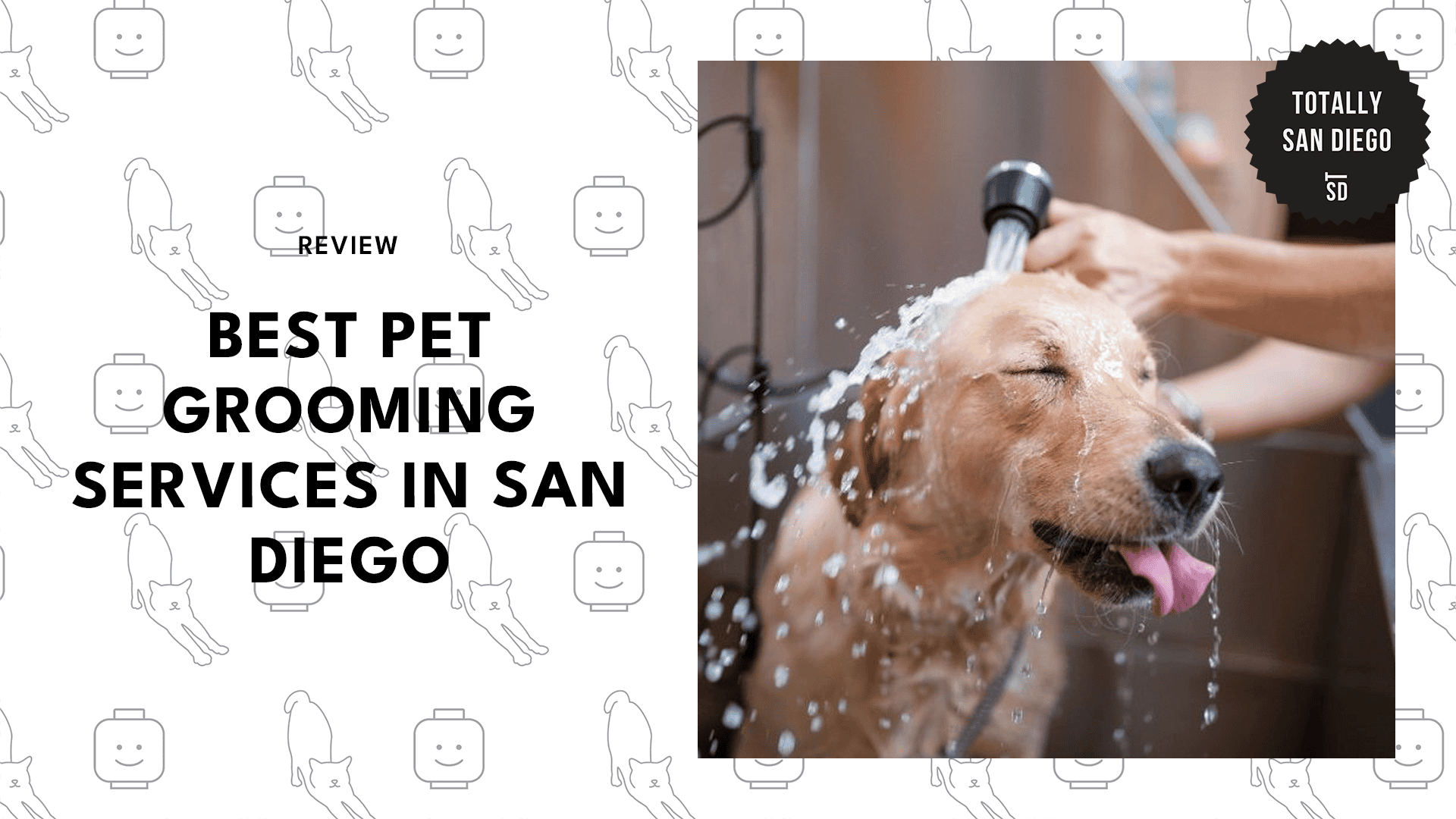 best-pet-grooming-san-diego