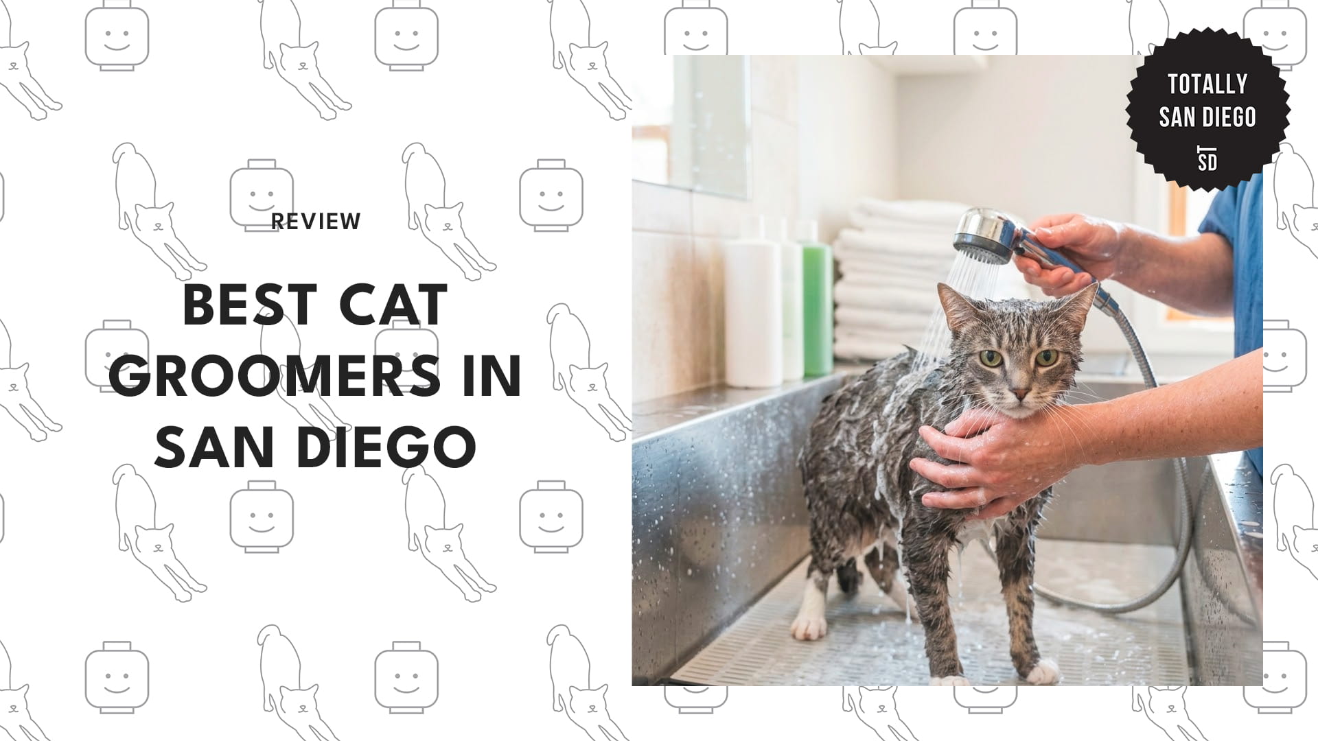 cat-grooming-san-diego-banner