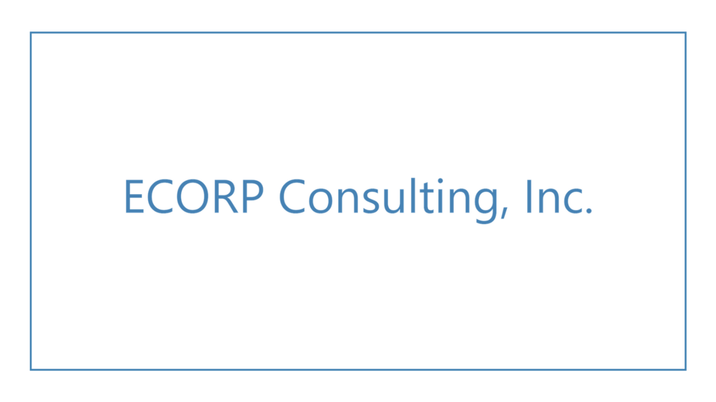 ecorp-consulting-inc-logo