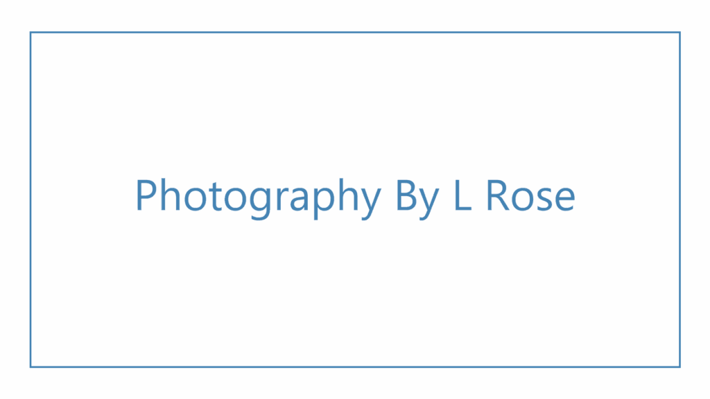 photography-by-l-rose