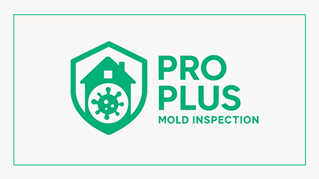 pro-plus-mold-inspection