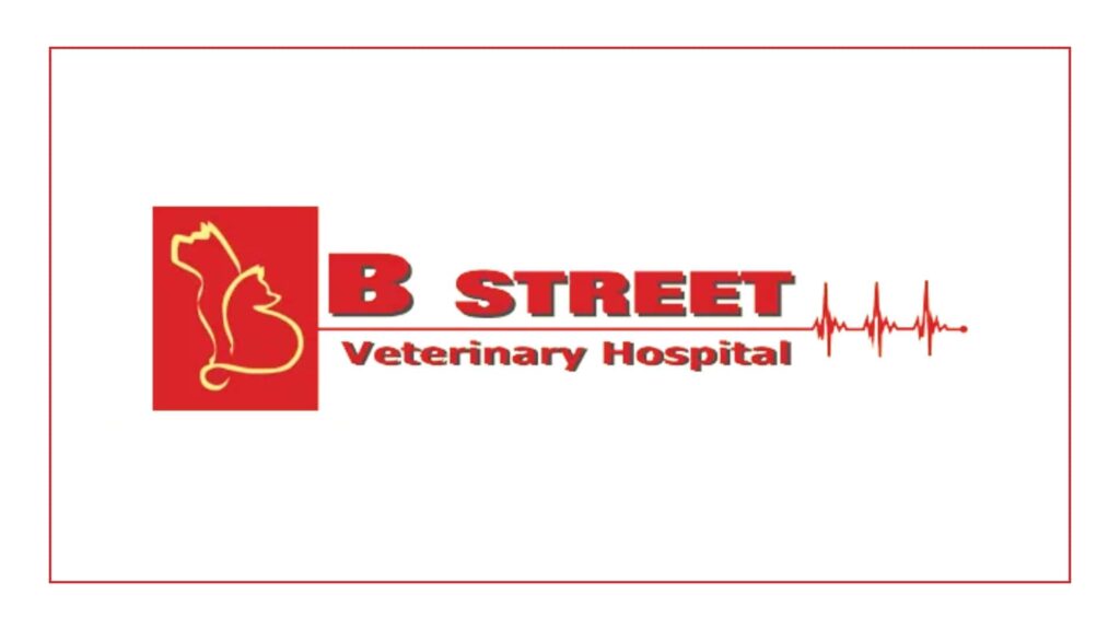 b-street-veterinary-hospital