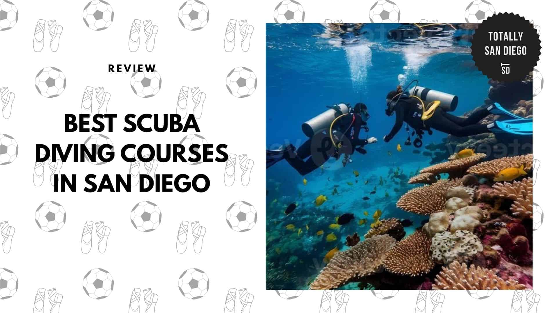 best-scuba-diving-san-diego