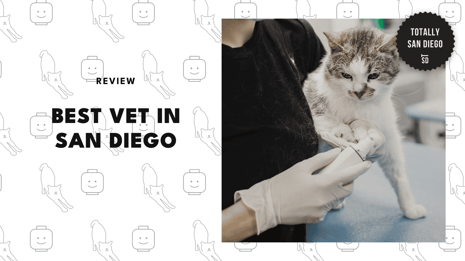 best-vet-san-diego