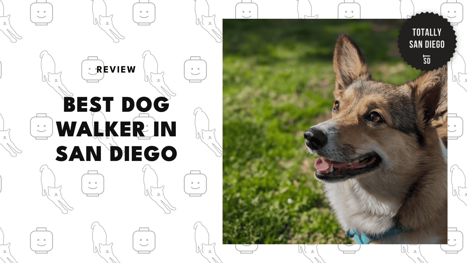 dog-walkers-in-san-diego