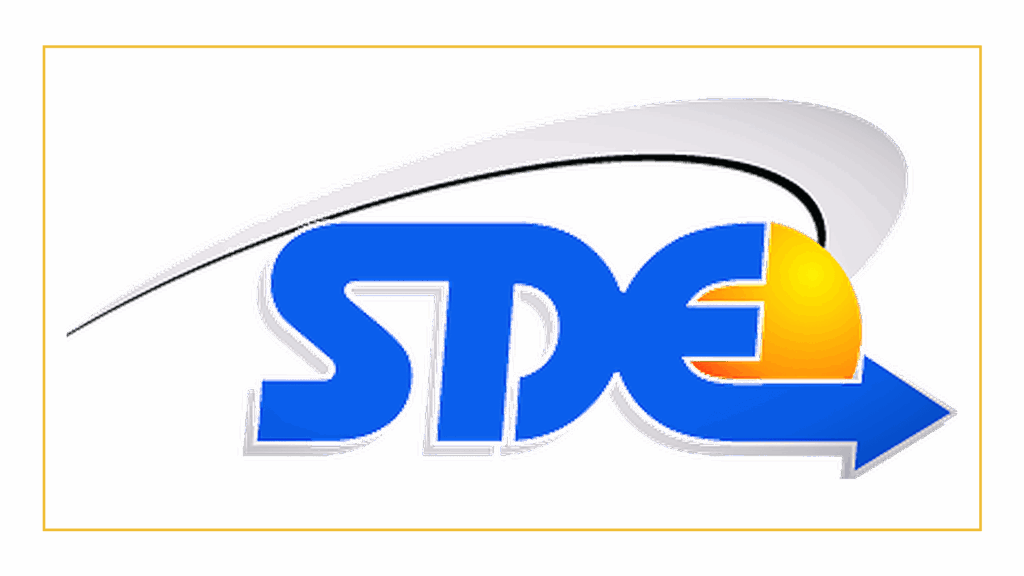 same-day-express-delivery-inc